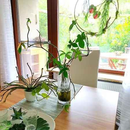 Moderne Grosse In Herrlichem Naturgrundstueck Erlangen