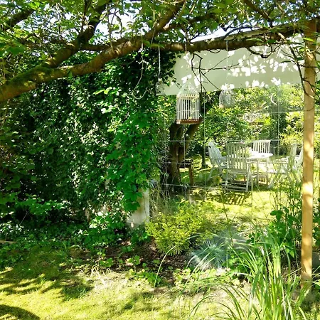 Daire Moderne Grosse In Herrlichem Naturgrundstueck *