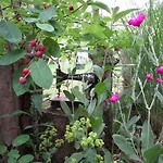 Moderne Grosse In Herrlichem Naturgrundstueck