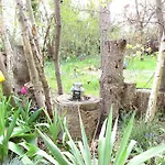 Moderne Grosse In Herrlichem Naturgrundstueck Διαμέρισμα *