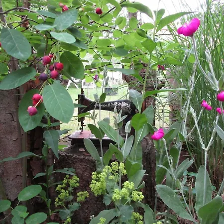 Moderne Grosse In Herrlichem Naturgrundstueck